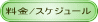 /XPW[ 